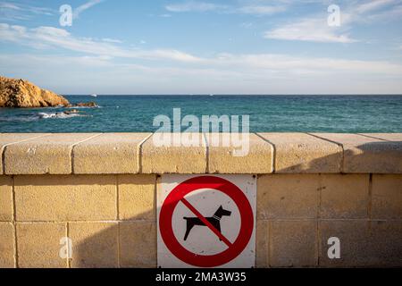 Segno rosso di cani proibiti posti sulla parete del lungomare prima di scendere alla spiaggia della città di Blanes. Foto Stock