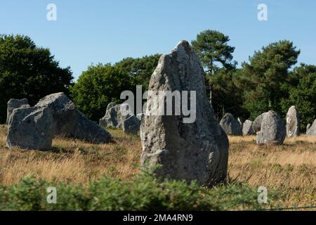 Pietre di Carnac (siti megalitici). Allineamenti le Ménec. Comune di Carnac. Dipartimento di Morbihan. Bretagna. Francia Foto Stock