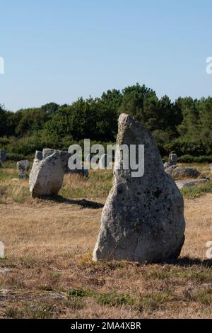 Pietre di Carnac (siti megalitici). Allineamenti le Ménec. Comune di Carnac. Dipartimento di Morbihan. Bretagna. Francia Foto Stock