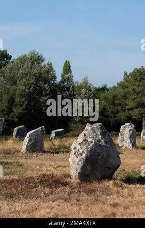Pietre di Carnac (siti megalitici). Allineamenti le Ménec. Comune di Carnac. Dipartimento di Morbihan. Bretagna. Francia Foto Stock