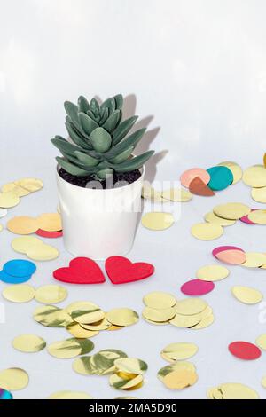 Piccola pentola bianca con un cactus su fondo bianco con coriandoli colorati che brillano tutto intorno. Foto Stock