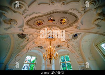 Volta a soffitto, Palazzo nuovo, Fotografia interna, Parco Muskauer, Parco Fuerst Pueckler, Patrimonio dell'umanità dell'UNESCO, Bad Muskau, Sassonia, Germania Foto Stock