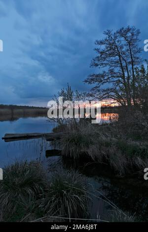 Umore serale sul Peene, ora blu, Peene Valley River Landscape Nature Park, Meclemburgo-Pomerania occidentale, Germania Foto Stock