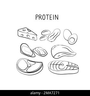 Protein-containing food. Groups of healthy products containing vitamins and minerals. Set of fruits, vegetables, meats, fish and dairy. Illustrazione Vettoriale