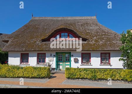 Casa sul tetto di paglia, Wustrow, Meclemburgo-Pomerania occidentale, Germania Foto Stock