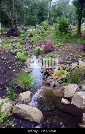 Persone in piedi e a piedi nel Chinese Streamside Garden a RHS Garden Bridgewater, Worsley, Greater Manchester, UK. Foto Stock