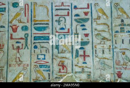 Hieroglyphen, Grab des Wesir Rechmire, TT100, Gräber der Noblen, Theben-West, Ägypten Foto Stock