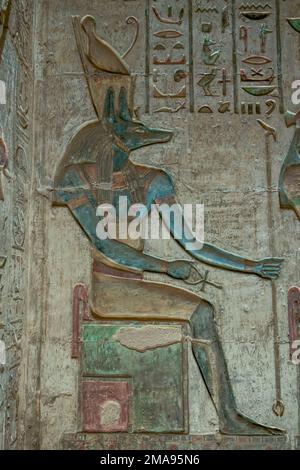 Rilievo Gott Anubis, Hathor-Tempel, Deir el-Medina, Theben-West, Ägypten Foto Stock