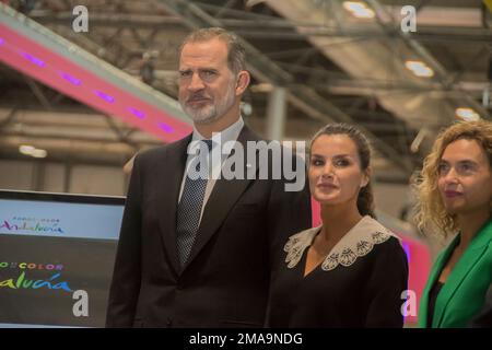 Madrid, Madrid, Spagna. 18th Jan, 2023. Re Felipe e la Regina Letizia hanno presieduto l'inaugurazione della 43rd° edizione della Fiera Internazionale del Turismo, Fitur 2023, che si terrà a Ifema Madrid fino a domenica prossima, 22 gennaio. I Re hanno fatto un tour dei diversi padiglioni della fiera, come hanno riferito attraverso il loro account ufficiale di Twitter. Hanno anche visitato l'espositore del Guatemala, Paese Partner di questa edizione di Fitur. Durante il loro cammino, sono stati accompagnati da diverse autorità nazionali e internazionali, come il presidente della Comunità di ma Foto Stock