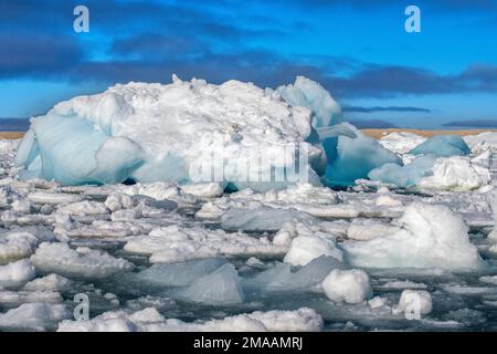 Bei ghiaccioli blu a Torellneset, Svalbard. Nave da crociera della spedizione Greg Mortimer nell'arcipelago di Svalbard, Norvegia artica. Storøya è un'isola in t Foto Stock