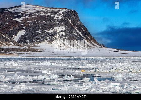 Orso polare vicino a Phippsoya, Svalbard, nave da crociera della spedizione Greg Mortimer nell'arcipelago di Svalbard, Norvegia artica. Phippsøya (anglicizzato come Phipps i Foto Stock