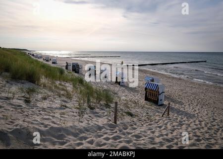 05.09.2022, Germania, Meclemburgo-Pomerania occidentale, Graal-Mueritz - la spiaggia si affaccia sulla spiaggia sabbiosa del Mar Baltico termale Graal-Mueritz. Poche persone o Foto Stock