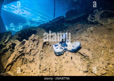 Thistlegorm carico incluso stivali Wellington, si possono vedere immersioni questo relitto superiore vicino alla penisola del Sinai in Mar Rosso, Egitto Foto Stock