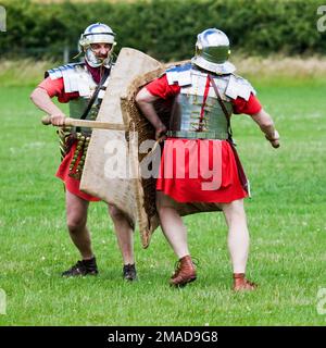 Legionari dell'esercito romano con spade di addestramento rudis che praticano il combattimento Foto Stock