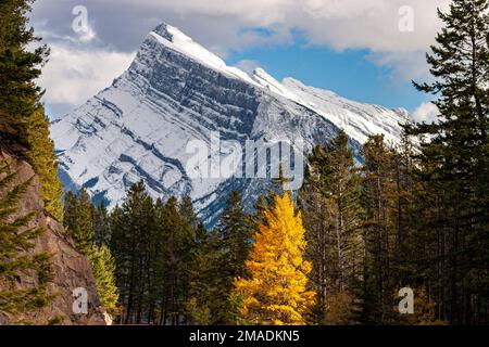 Il Monte Rundle sorvola una foresta autunnale: Il Monte Rundle con i suoi pendii rocciosi blu coperti da una coperta di neve circondata dalla foresta verde e dai luminosi assens. Foto Stock