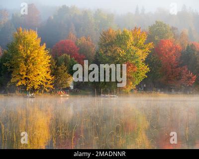 Colore dell'alba: Foglie colorate attenuate dalla nebbia mattutina e dal riflesso ancora più attenuato dell'acqua nebulosa su un lago nella regione Pontiac del Quebec occidentale. Foto Stock
