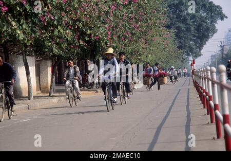 Cina, Canton, ciclisti. Foto Stock