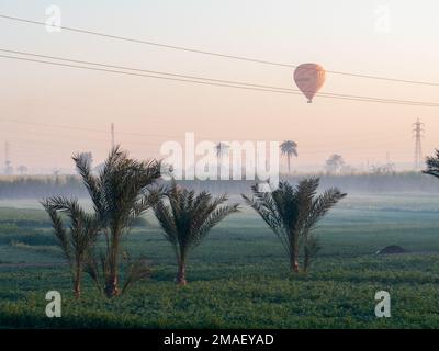 Mongolfiere che volano tra il campo agricolo di Luxor, Egitto. Foto Stock