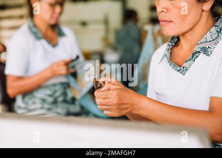 Donne balinesi che disegnano batik su tessuto bianco con cera. Foto ravvicinata delle sue mani e della sua collega che lavora in background Foto Stock