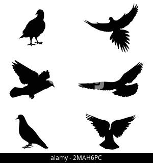 Illustrazioni vettoriali di silhouette di piccioni su sfondo bianco Illustrazione Vettoriale