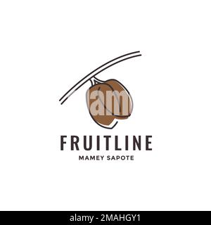 frutta fresca mamey sapote dolce deliziosa stagione logo disegno vettoriale icona modello illustrazione Illustrazione Vettoriale