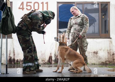 STATI UNITI Eduardo Bonilla, Provost Marshal Office Military working dog section master, left, si avvicina a MWD Dina durante un addestramento chimico, biologico, radiologico e nucleare e sostanze tossiche presso la base aerea di Kadena, Giappone, 27 maggio 2022. La formazione congiunta comprendeva esercizi progettati per familiarizzare i MWD con la vista, l'odore e i suoni delle apparecchiature CBRN, inclusi allarmi chimici e persone che indossavano un equipaggiamento di postura protettivo orientato alle missioni. Foto Stock