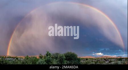 Un arcobaleno completo sotto le nuvole di tempesta. Parco Nazionale delle Cascate di Augrabies. Capo Settentrionale, Sudafrica. Foto Stock