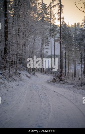 Winding snow covered path through forest with golden sun setting behind mountain Foto Stock