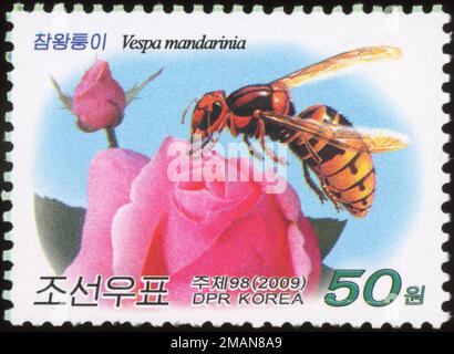 2009 Set di timbri per la Corea del Nord. Insetti. Vespa mandarinia, calabrone gigante asiatico, calabrone gigante giapponese Foto Stock