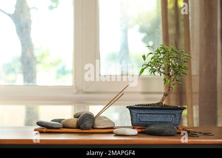 Albero di Bonsai con pietre spa e forbici su scaffale vicino alla finestra Foto Stock