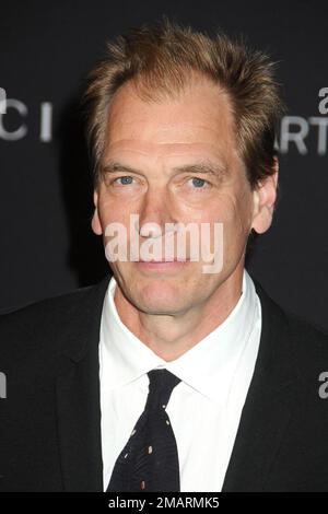 19 gennaio 2023 - l'attore britannico Julian Sands, noto per il suo ruolo nel film del 1986 acclamato dalla critica “A Room with a View”, è stato segnalato mancante il venerdì dopo aver camminato da solo su un sentiero sul pericoloso Monte Baldy nelle montagne di San Gabriel nella California meridionale. File Photo: 7 November 2015 - Los Angeles, California - Julian Sands. LACMA 2015 Art+Film Gala a LACMA. Foto di credito: Byron Purvis/AdMedia Foto Stock