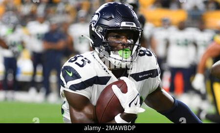 Pittsburgh Steelers linebacker Mark Robinson (93) rushes the quarterback  during an NFL preseason football game against the Tampa Bay Buccaneers,  Friday, Aug. 11, 2023, in Tampa, Fla. (AP Photo/Peter Joneleit Stock Photo  - Alamy