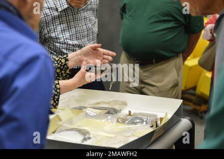 Tonia Deetz-Rock, vicedirettore e curatore del museo navale di Hampton Roads, mostra alcuni dei manufatti relativi alla USS Cumberland che sono conservati presso la struttura di stoccaggio degli artefatti del museo a bordo della stazione navale di Norfolk. La USS Cumberland, un anello di guerra nella Union Navy, affondò il 8 marzo 1862 durante una battaglia con il ram stro confederato CSS Virginia. Il museo è il deposito per i manufatti recuperati dal Cumberland. Foto Stock