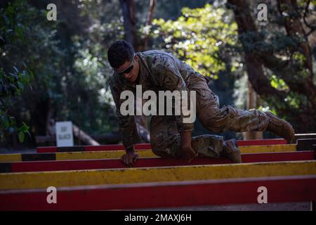 Ethan Catanach, un uomo di fanteria assegnato agli Stati Uniti Army Alaska ha stazionato alla base militare Elmendorf-Richardson, Alaska, salta su tavole di legno il 7 giugno alla Lightning Academy, Schofield Barracks East Range, Hawaii, durante il corso di ostacoli per la competizione di miglior guerriero dell'USARPAC del 2022. USARPAC BWC 2022 è una competizione annuale di una settimana composta da concorrenti di più unità USARPAC in tutto il territorio dell'Indo-Pacifico. Gli ufficiali non commissionati e i soldati giovani arruolati sono valutati in diverse categorie, come la conoscenza militare generale, le abilità di base del soldato e la forma fisica. Foto Stock