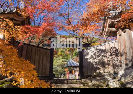 Kyoto, Giappone - 25 novembre 2022 : Tempio di Arashiyama Nison-in con foglie autunnali Foto Stock