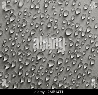 Gocce d'acqua su un foglio di carta. Foto Stock