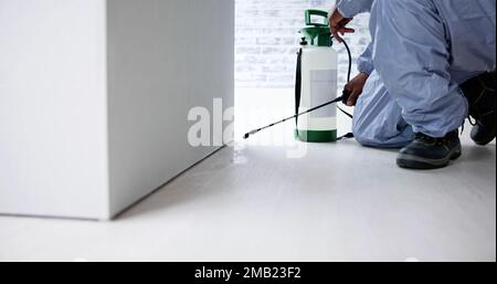 Pesticida antiparassitario Pest Control Exterminator Man Spraying Termite in Office Foto Stock