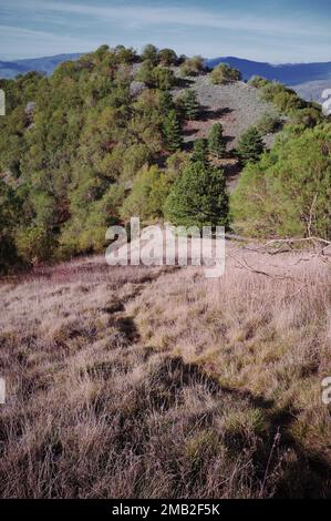 Ripido e accidentato sentiero panoramico in montagna del Parco Nazionale dell'Etna, un percorso per escursioni sul vecchio vulcano Monte Ruvolo, Bronte, Sicilia, Italia Foto Stock