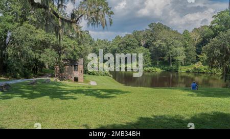 Una vista aerea della piantagione Middleton Place circondata da alberi fitti a Charleston Foto Stock