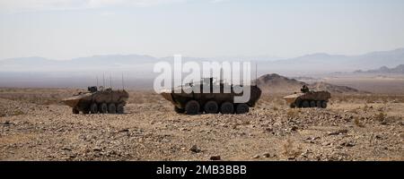 STATI UNITI Marines con il Battalion Landing Team 2/4, 13th Marine Expeditionary Unit, fornisce assistenza antincendio in veicoli da combattimento anfibi durante la gamma 400 sul Marine Corps Air Ground Combat Center Twentynine Palms, California, 10 giugno 2022. L'MEU 13th sta attualmente conducendo un esercizio realistico di formazione urbana per migliorare l'integrazione e la capacità collettiva degli elementi di comando, aereo, terrestre e logistico dell'MEU e preparare l'MEU 13th a soddisfare le esigenze di risposta alle crisi della nazione durante il loro prossimo spiegamento all'estero. Foto Stock