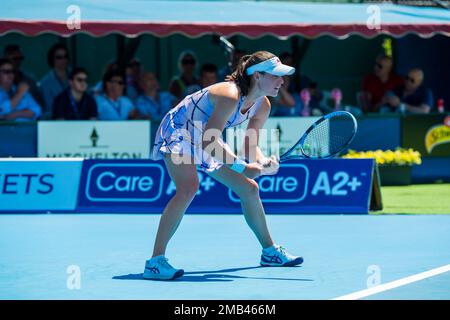 Melbourne, Australia. 11th Jan, 2023. Kimberly Birrell of Australia in azione durante il giorno 2 del Kooyong Classic Tennis Tournament ultima partita contro Donna Vekic di Croazia al Kooyong Lawn Tennis Club. Vekic ha vinto in tre set 2:6, 6:2, 10:8. (Foto di Alexander Bogatyrev/SOPA Images/Sipa USA) Credit: Sipa USA/Alamy Live News Foto Stock