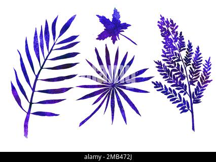 Set di foglie isolate di colore blu tropicale. Illustrazione dell'acquerello disegnata a mano Foto Stock