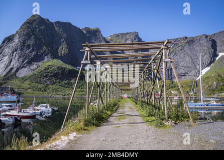 Rack per l'essiccazione di pesci da magazzino, Reine, Moskenesoya, Isole Lofoten, Nordland, Norvegia Foto Stock