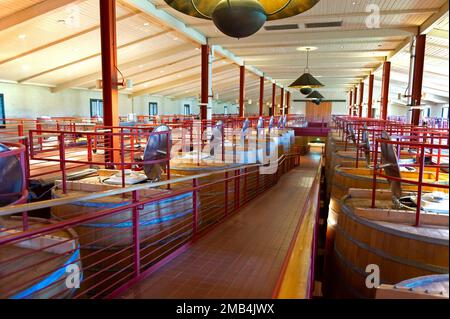 Botti di fermentazione di rovere della Robert Mondavi Winery, Napa Valley, California, USA, Nord America Foto Stock