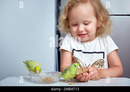 Ragazza carina alimenta due pappagalli di forpus. Animali domestici esotici, carino uccello pappagallo di Forpus con alimentazione spray miglio, pappagallo di Forpus è ora famoso piccolo animale domestico dell'uccello in Thailandia Foto Stock