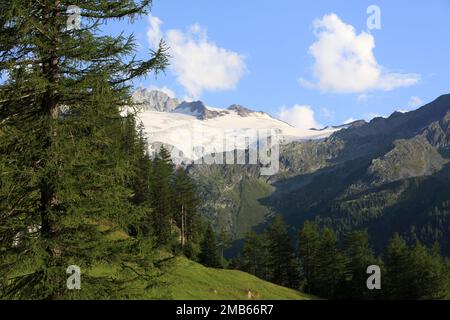 Vue sur le Mont Blanc. Forclaz. Suisse. Europa. / Vista del Monte Bianco. Forclaz. Svizzera. Europa. Foto Stock