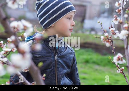 Ritratto di un ragazzino tra i fiori di ciliegio in primavera. Un bambino in una passeggiata si nasconde dietro un cespuglio. Nascondere e cercare in natura. Foto Stock