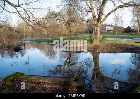 Marlow, Buckinghamshire, Regno Unito. 20th gennaio 2023. Il Tamigi a Marlow ha scoppiato le sue rive dopo una forte pioggia all'inizio di gennaio. I livelli dell'acqua stanno cominciando a scendere ma ci è ghiaccio sul percorso del Tamigi dove l'acqua di inondazione si è congelata sopra. I livelli dell'acqua sono ora alla stessa altezza del sentiero in alcuni luoghi. Un allerta alluvione rimane in atto per il Tamigi da Hurley a Cookham compreso Marlow. Credit: Maureen McLean/Alamy Live News Foto Stock