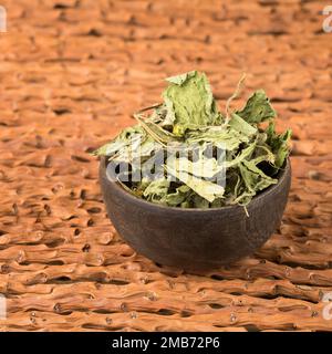 Galinsoma parviflora - foglie disidratate essiccate di guasca Foto Stock
