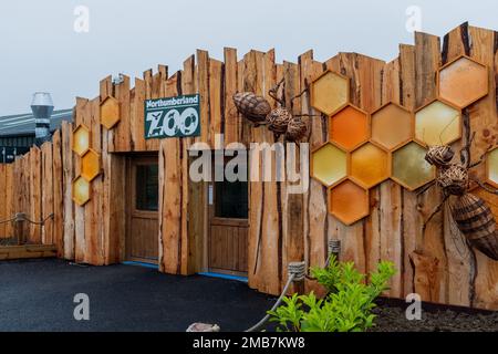 Northumberland Regno Unito: 6th giugno 2022: Northumberland Zoo buidling entrata via esterna Foto Stock